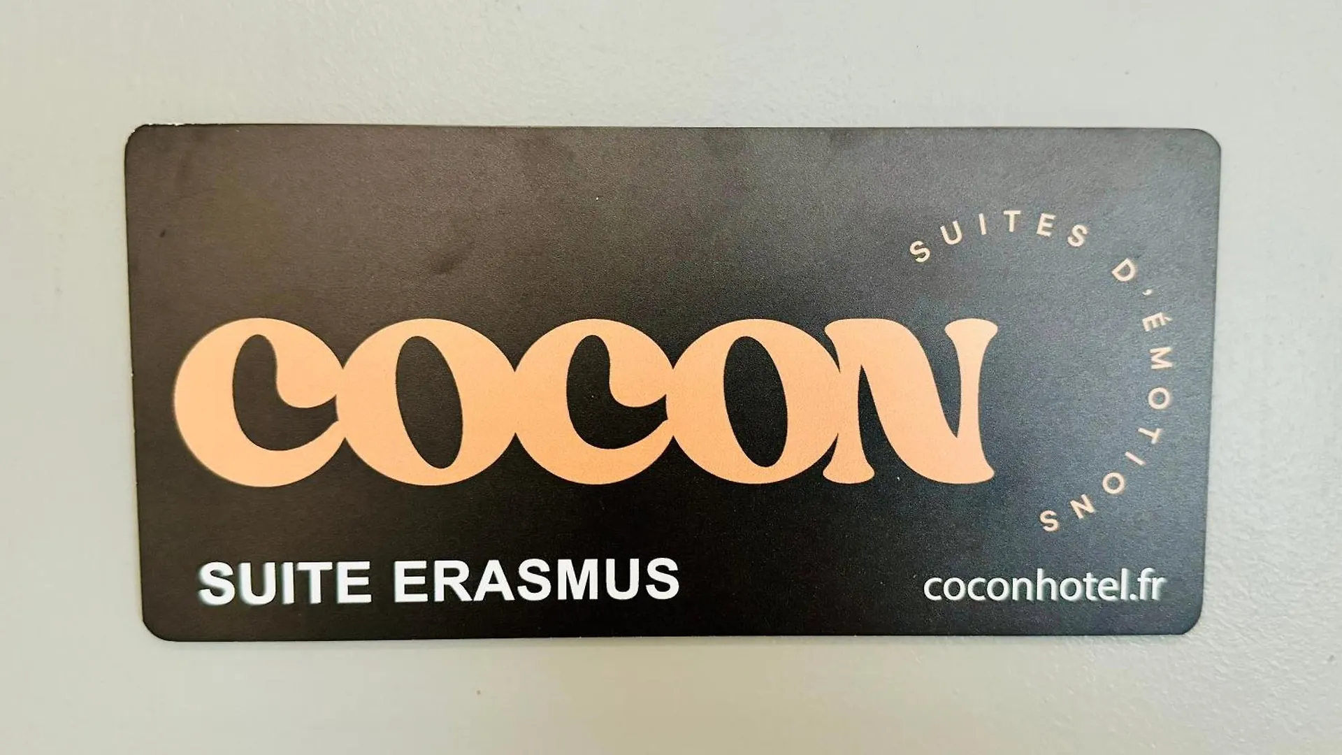 ליון Suite Erasmus צרפת